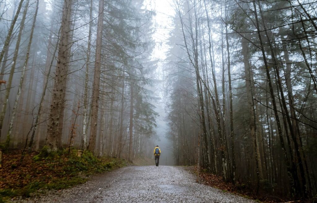 Man walking alone in the woods