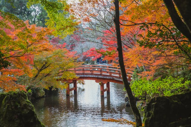 Calm river with a bridge across it